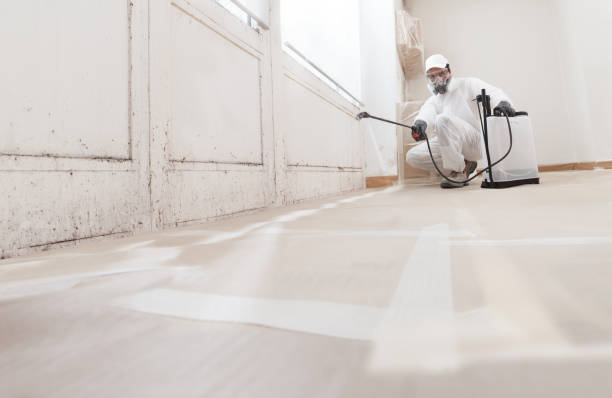 24/7 Emergency Attic Mold Removal experts in Pikesville, MD